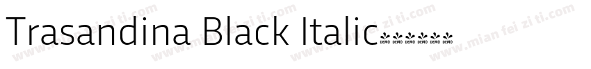 Trasandina Black Italic字体转换